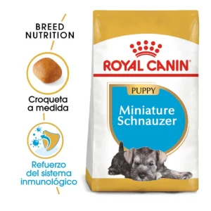 1.5 kg Royal Canin Puppy Miniature Schnauzer pienso para perros