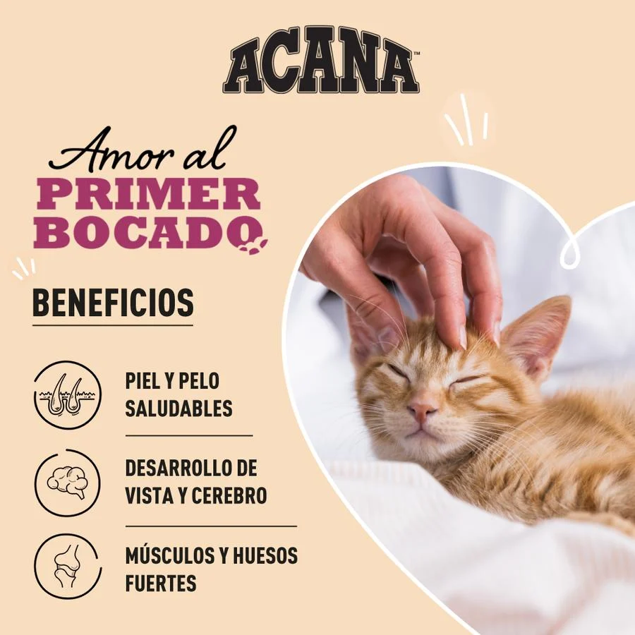 1.8 kg Acana First Feast pienso para gatitos - Image 2