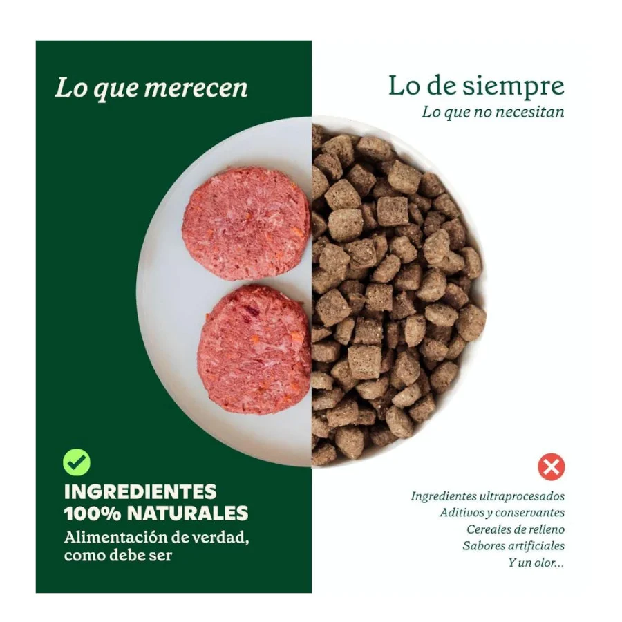 Wild Balance Barf Menú salmón con verduras comida congelada para perros - Image 2
