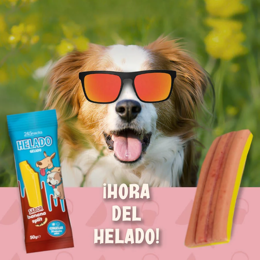 1 ud. 2&Snacks Helado de Banana Split para perros - Image 2