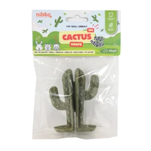 1 ud. Nibbz Snack Cactus para roedores