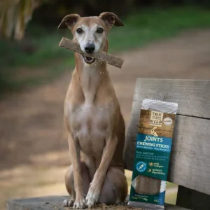 1 ud. True Origins Joints Chewing Sticks Snack para perros
