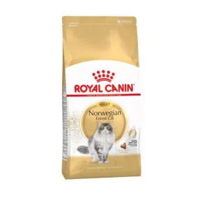 10 kg Royal Canin Adult Norwegian Forest pienso para gatos