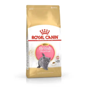 10 kg Royal Canin British Shorthair Kitten pienso para gatos