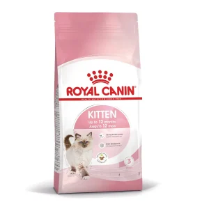 Royal Canin Kitten pienso para gatitos