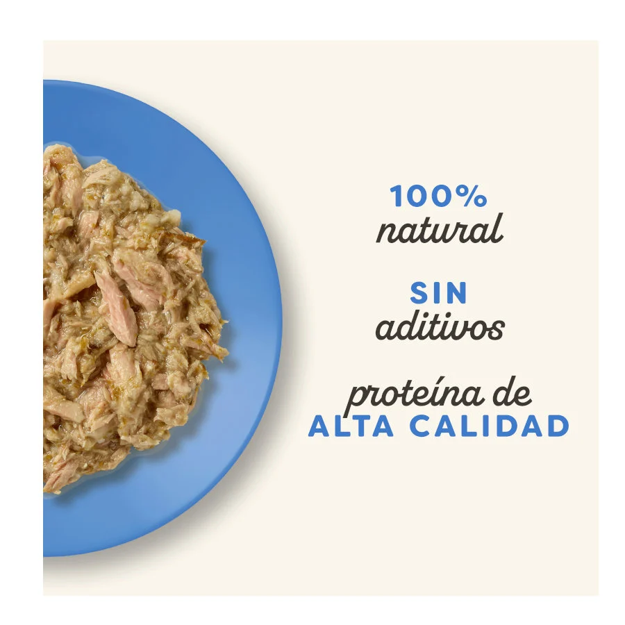 12 sobres x 70 g Applaws Selección de Pescado sobre para gatos - Image 2