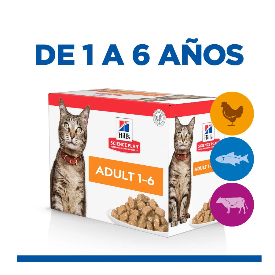 12 sobres x 85 g Hill's Science Plan Adult Pollo, Pescado Azul y Vacuno en Salsa sobre para gatos - Image 2