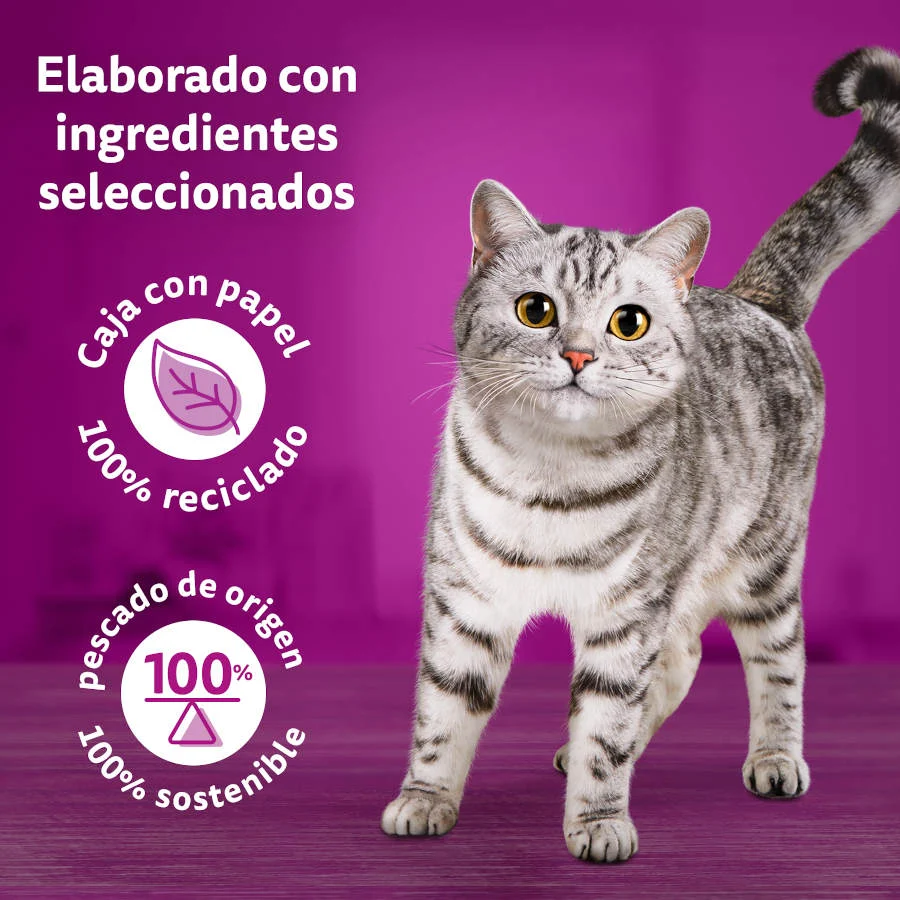 12 sobres x 85 g Whiskas Tasty Mix Country Sobres en Salsa para gatos - Image 2
