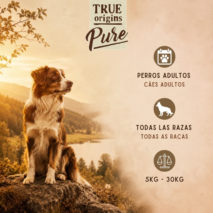 230 ml True Origins Pure Caldo de Huesos de Pollo sobre para perros - Image 2