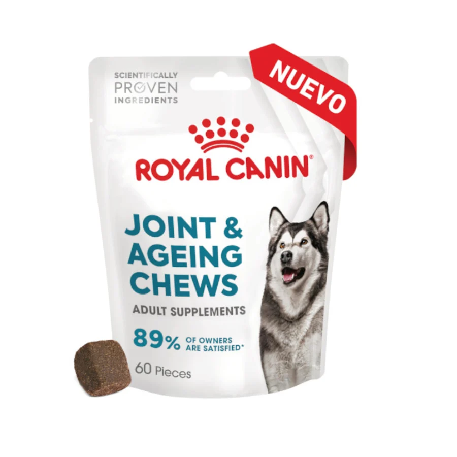 240 g Royal Canin Joint & Ageing Chews Suplemento Nutricional para perros senior - Image 2