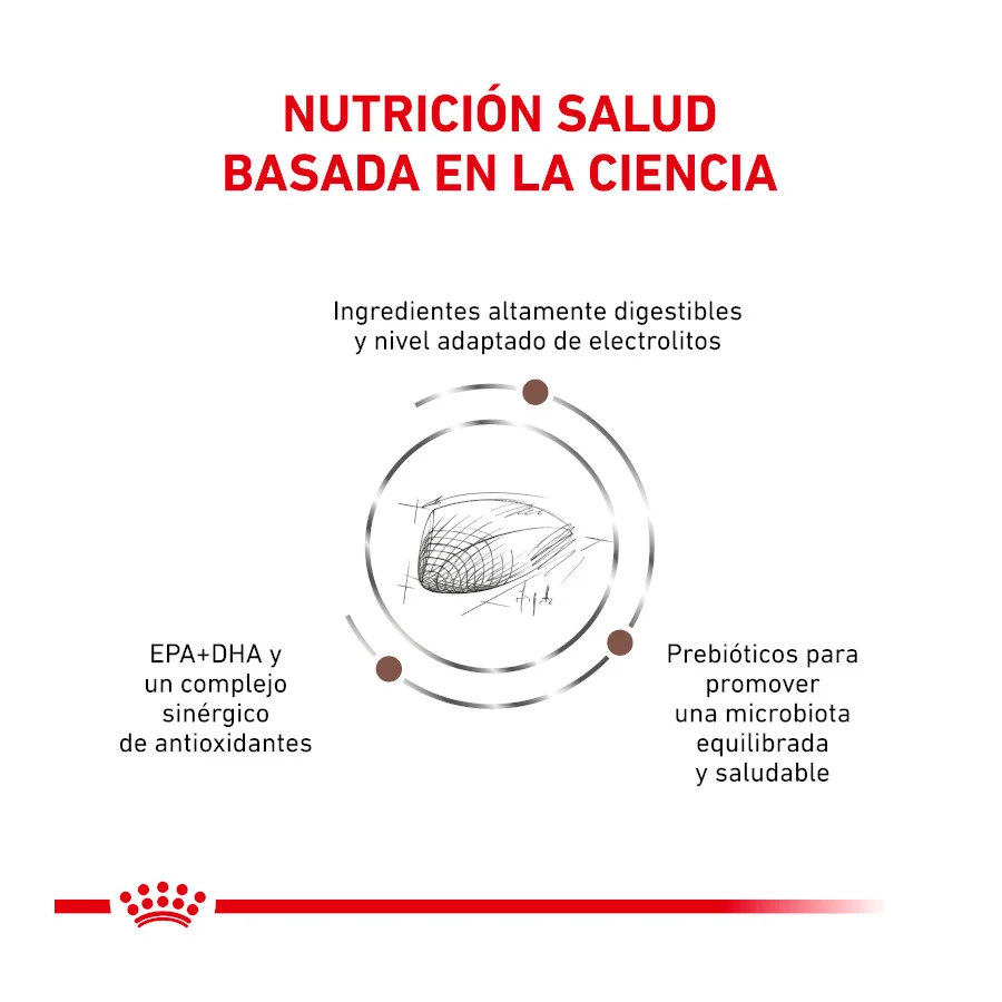 Royal Canin Veterinary Gastrointestinal pienso para gatos - Image 2