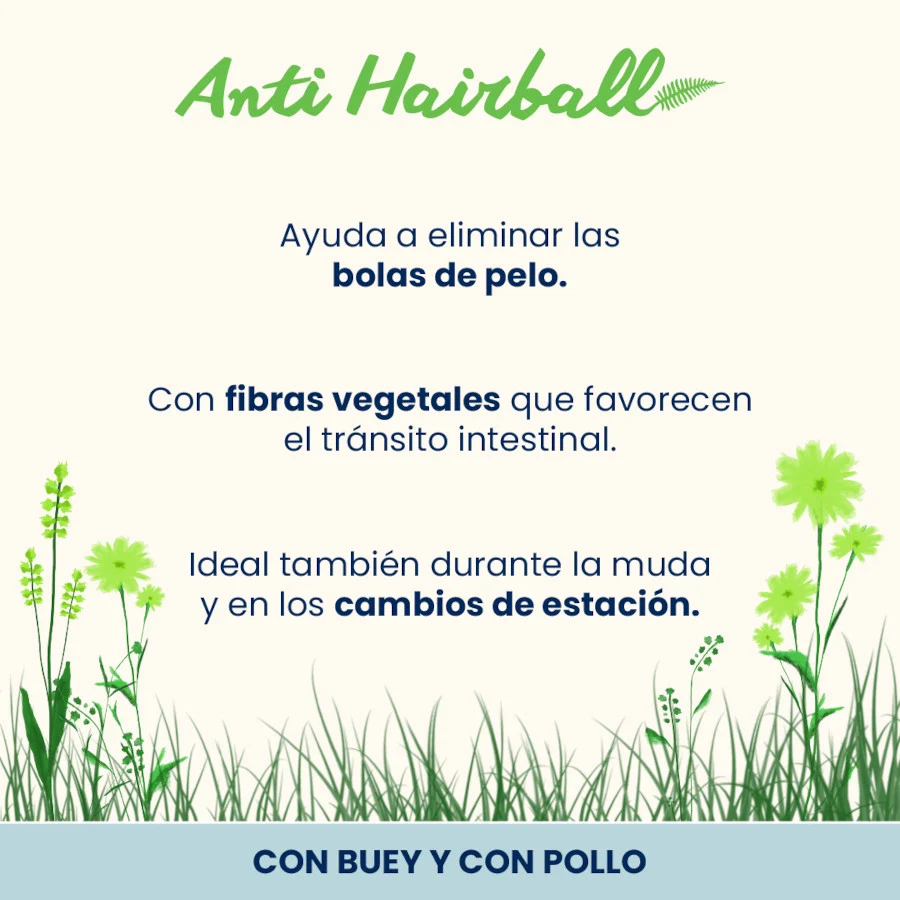 6 sobres x 70 g Almo Nature Anti Hairball Buey y Pollo sobre para gatos - Image 2