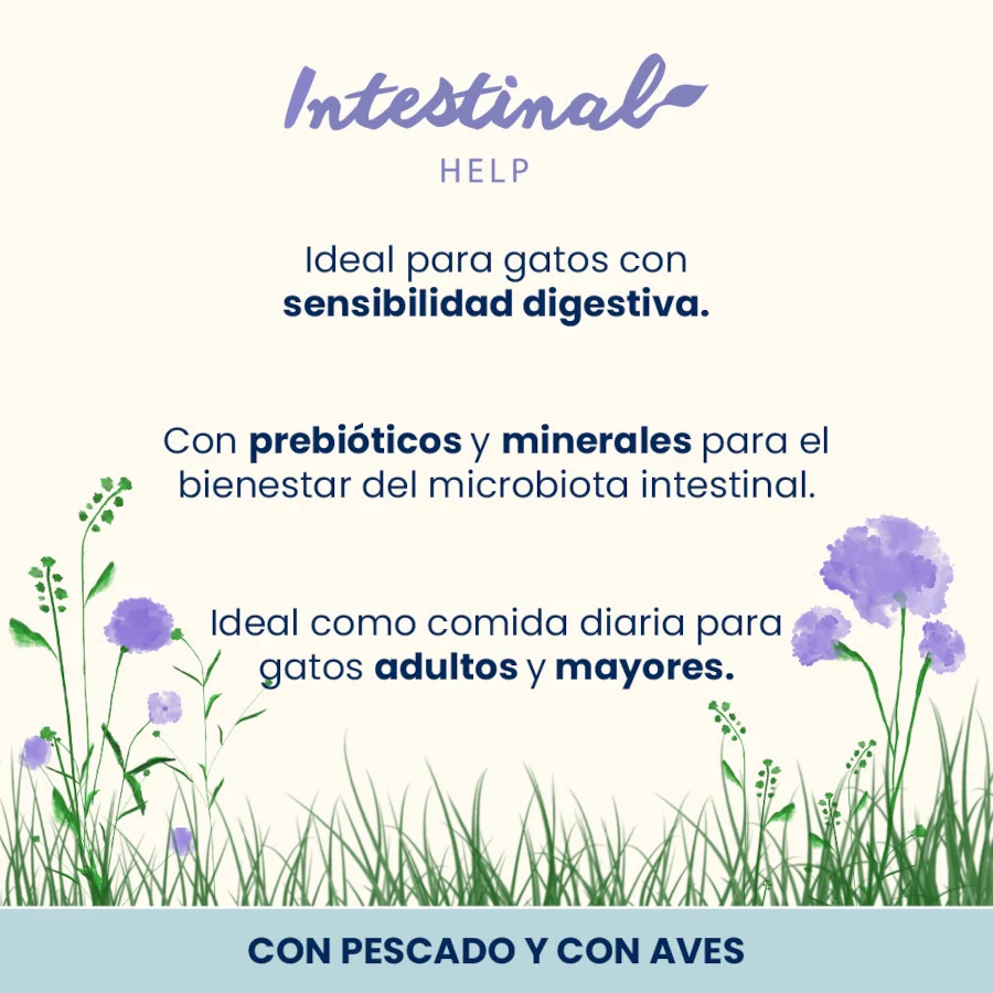 6 sobres x 70 g Almo Nature Intestinal Help Pescado y Aves sobre para gatos - Image 2