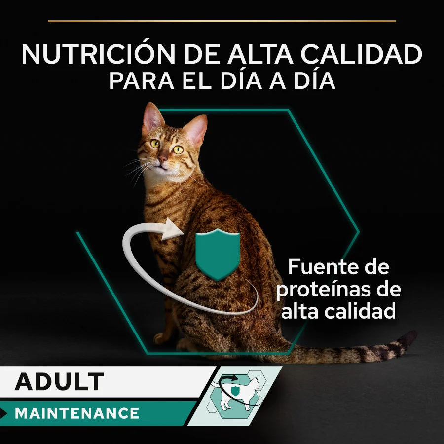 85 g Pro Plan Adult Maintenance Terrina rico en pollo para gatos - Image 2