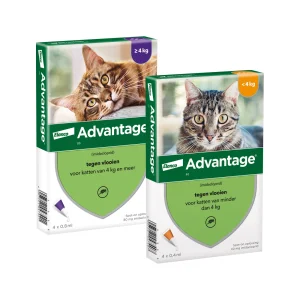 Advantage Gato