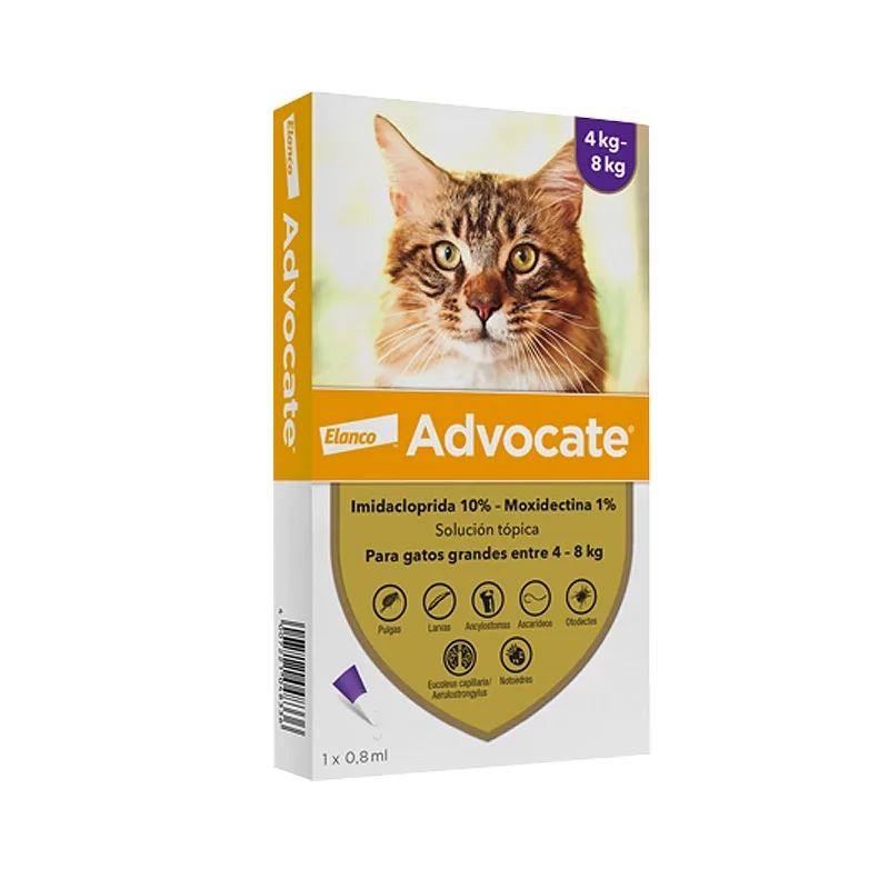 Advocate Gatos 4 a 8 Kg