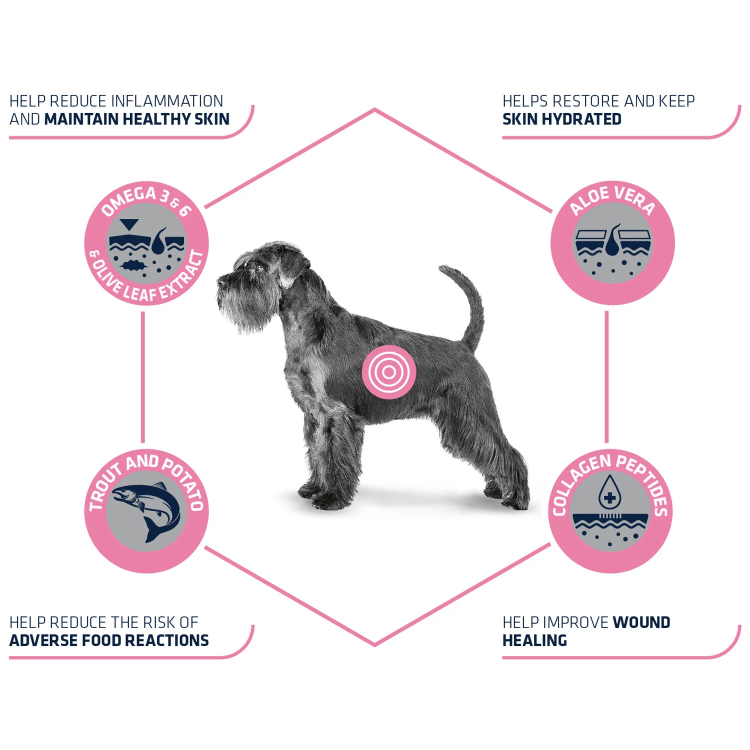 Affinity Advance Veterinary Diets Atopic Perro - Image 2