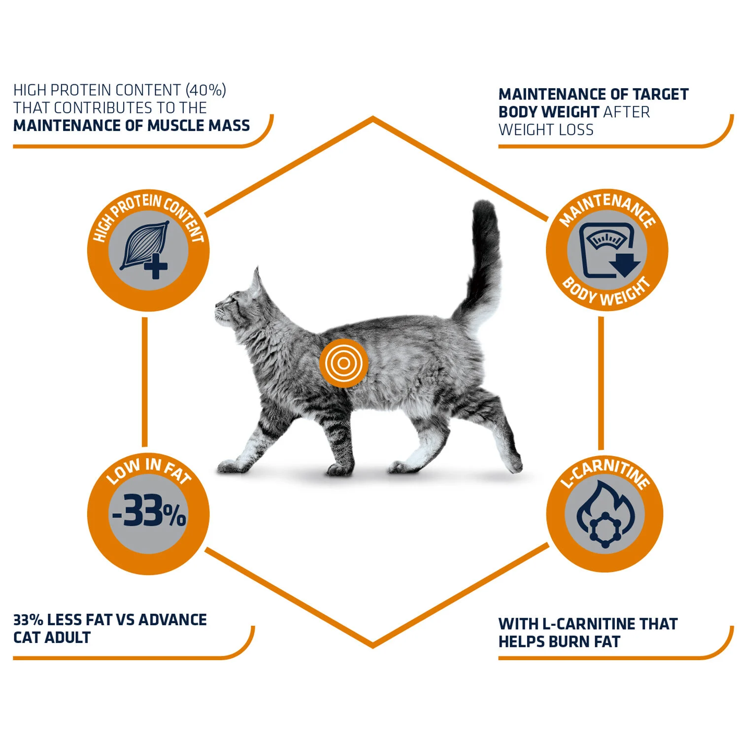 Affinity Advance Veterinary Diets Weight Balance Gato - Image 2