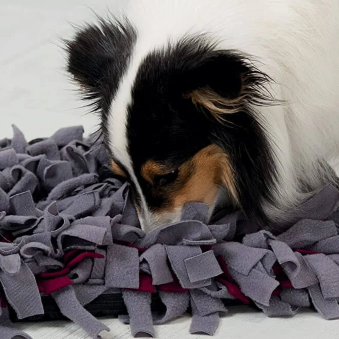 ALFOMBRA OLFATIVA - Image 2
