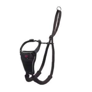 Arnés antitirones Halti No Pull para perros negro: Talla M (p. ej. retriever, border collie)