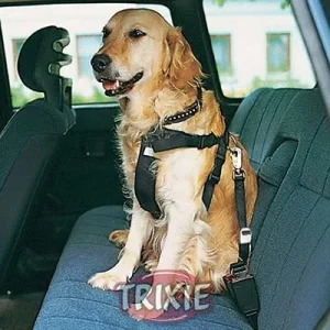 Arnés + Cinturón para Coche