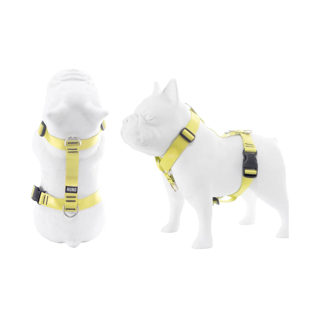 ARNES HUND CROMA LIMA EN «H» - Image 2