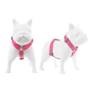 ARNES HUND CROMA MAGENTA EN «H»
