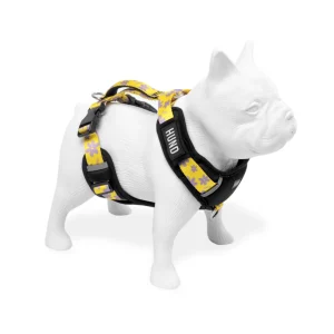 ARNES HUND MIRAMAR PERSONALIZABLE