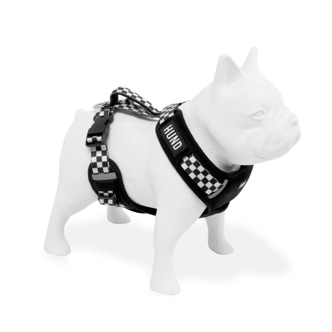 ARNES HUND MONACO PERSONALIZABLE