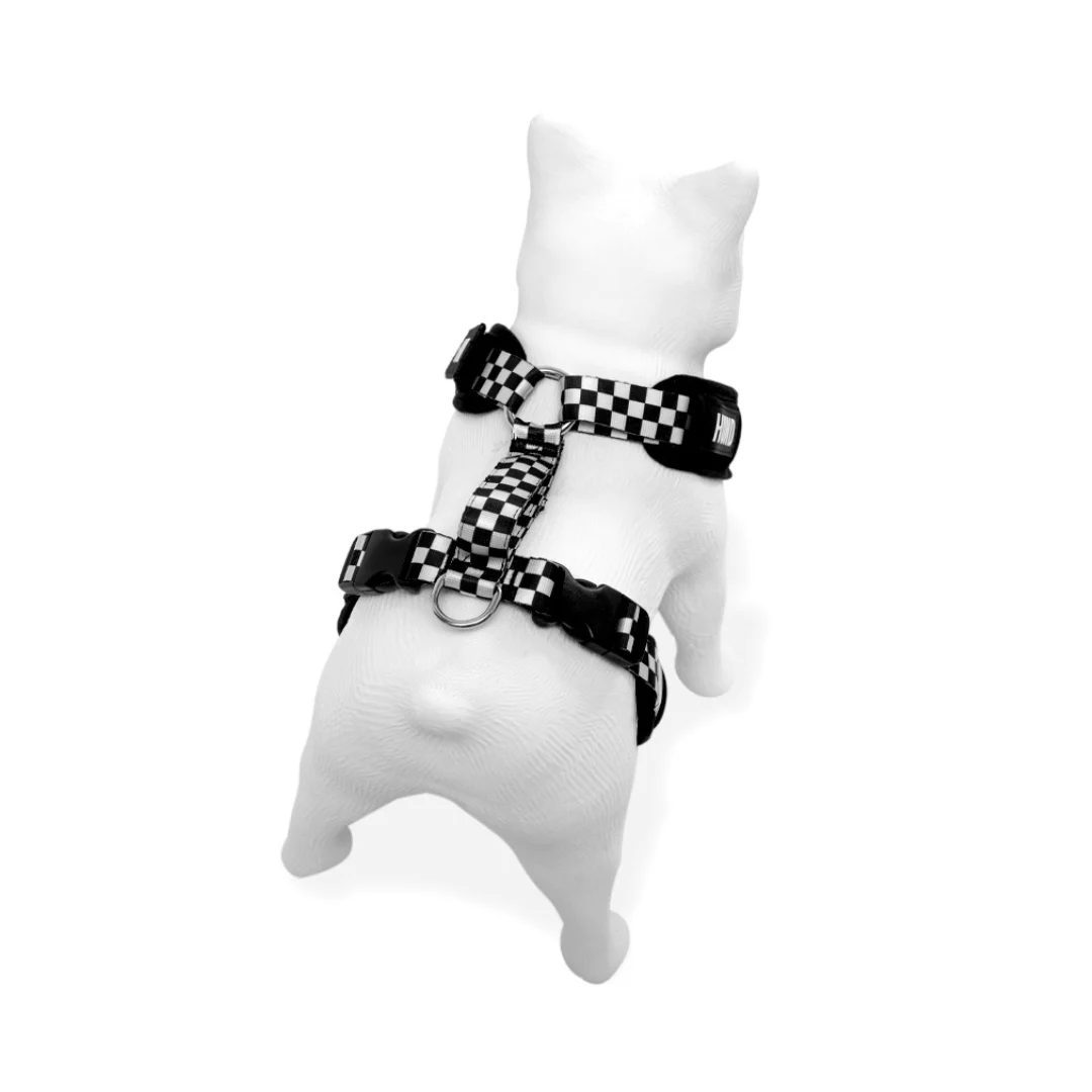 ARNES HUND MONACO PERSONALIZABLE - Image 2