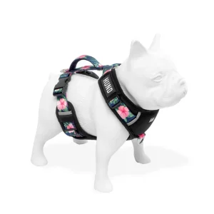 ARNES HUND PARIS PERSONALIZABLE