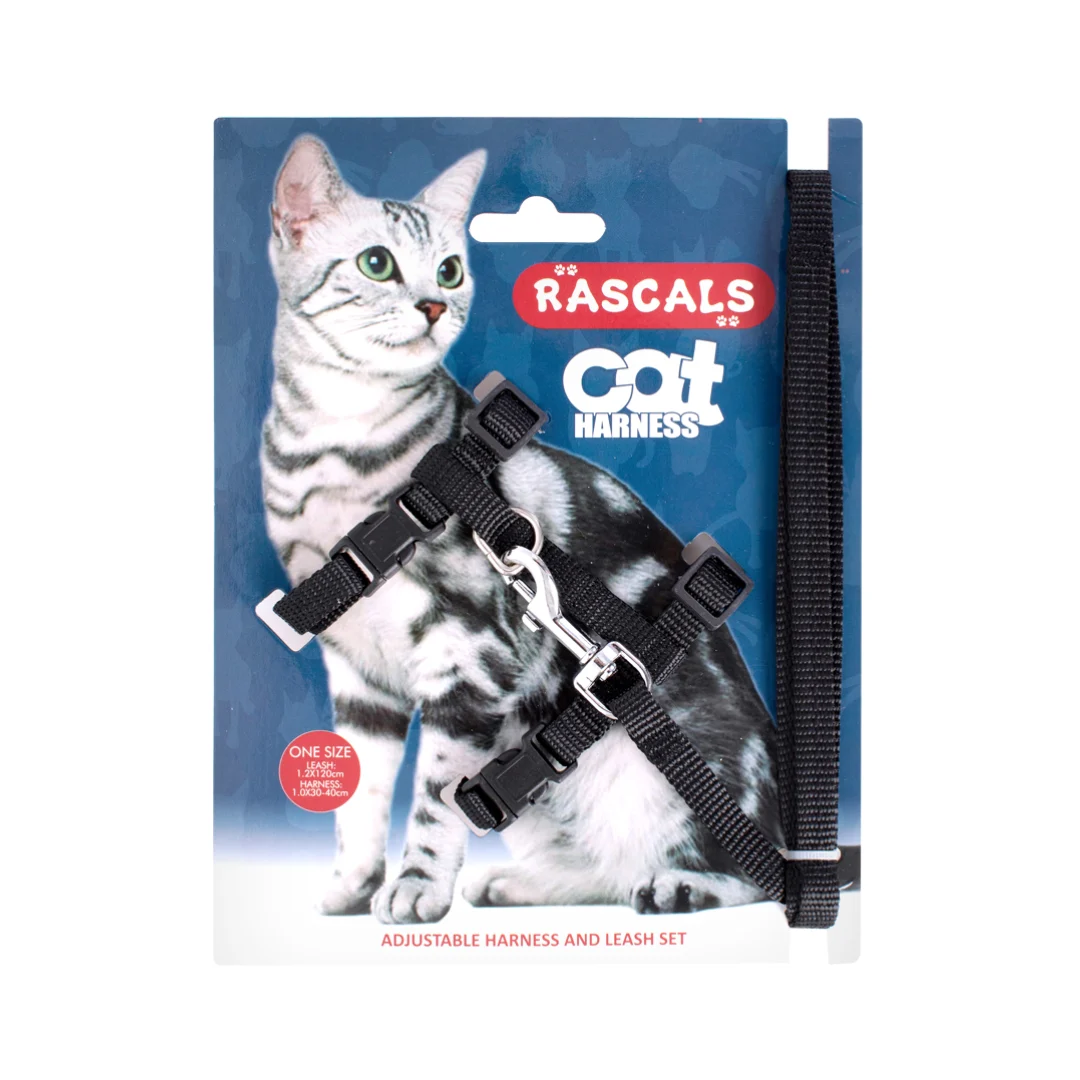 ARNES Y CORREA RASCALS PARA GATO - Image 2