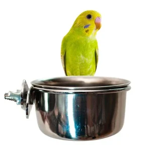 ARQUIVET Comedero Inoxidable con Palomita para Pájaro 0.28L