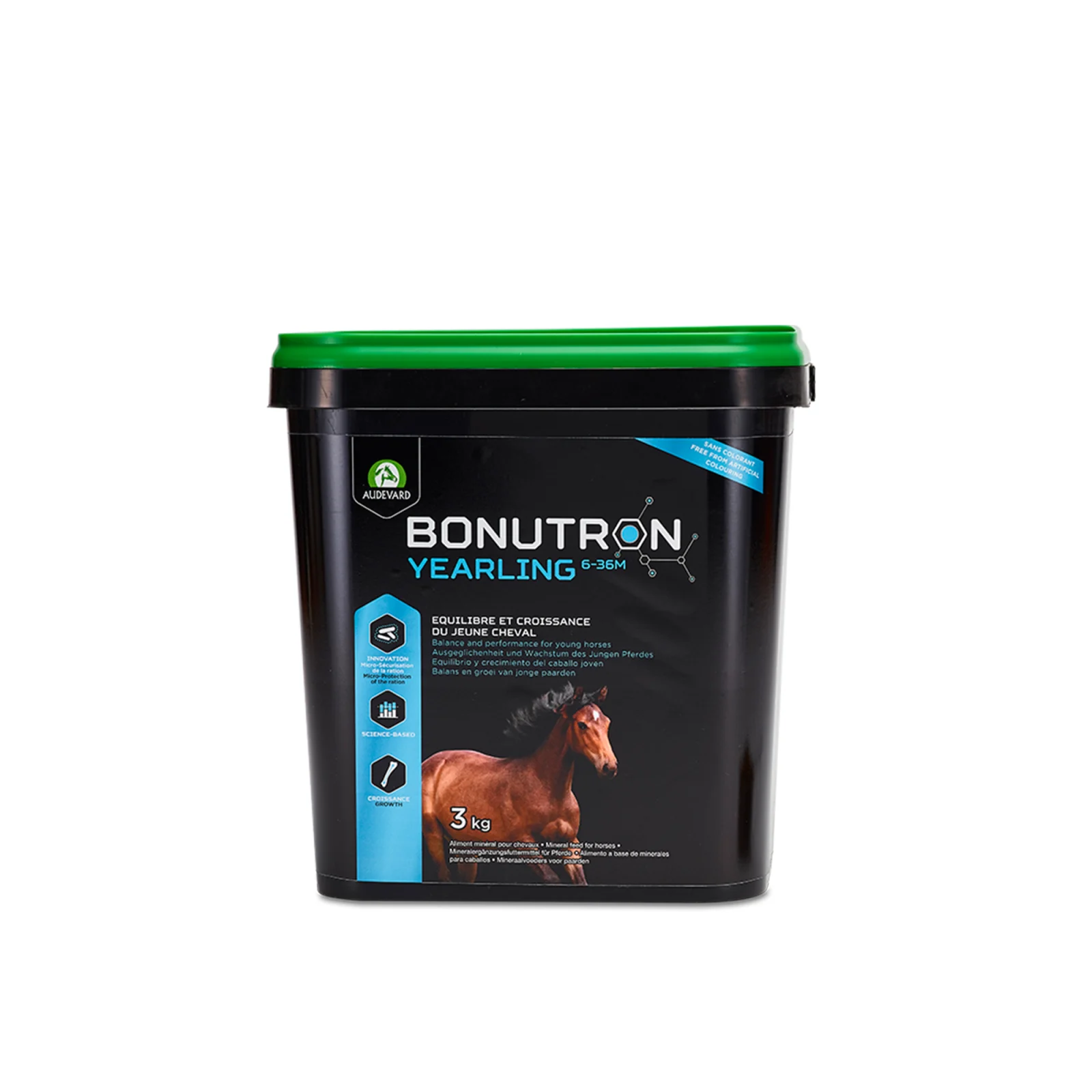 Audevard Bonutron Yearling 6 - 36M - Image 2