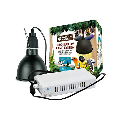 Back Zoo Nature Bird Sun UV-Lamp