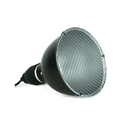 Back Zoo Nature Bird Sun UV-Lamp - Image 2