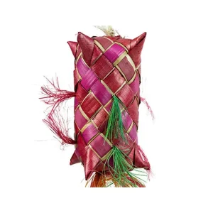 Back Zoo Nature Carnival Pinata