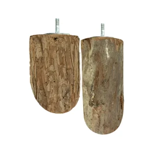 Back Zoo Nature Wood Slice Perch