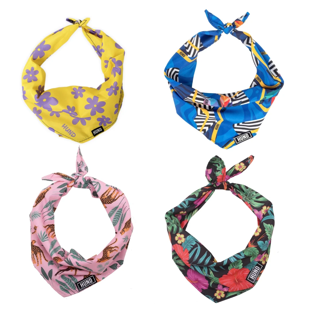 BANDANA HUND