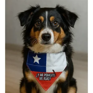 Bandana ¿Y Mi Pedacito De Asao?