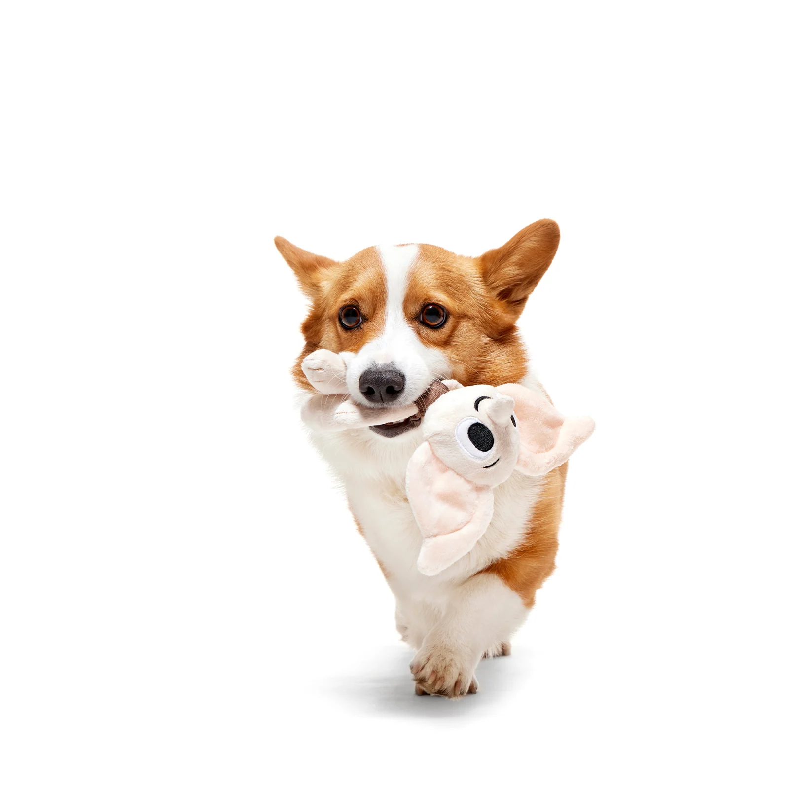 Bark Harry Potter Dobby Peluche - Image 2