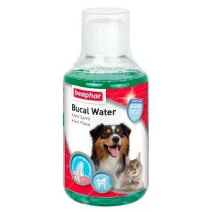 Beaphar Bucal Water | Enjuague Bucal Perros y Gatos | 250ml