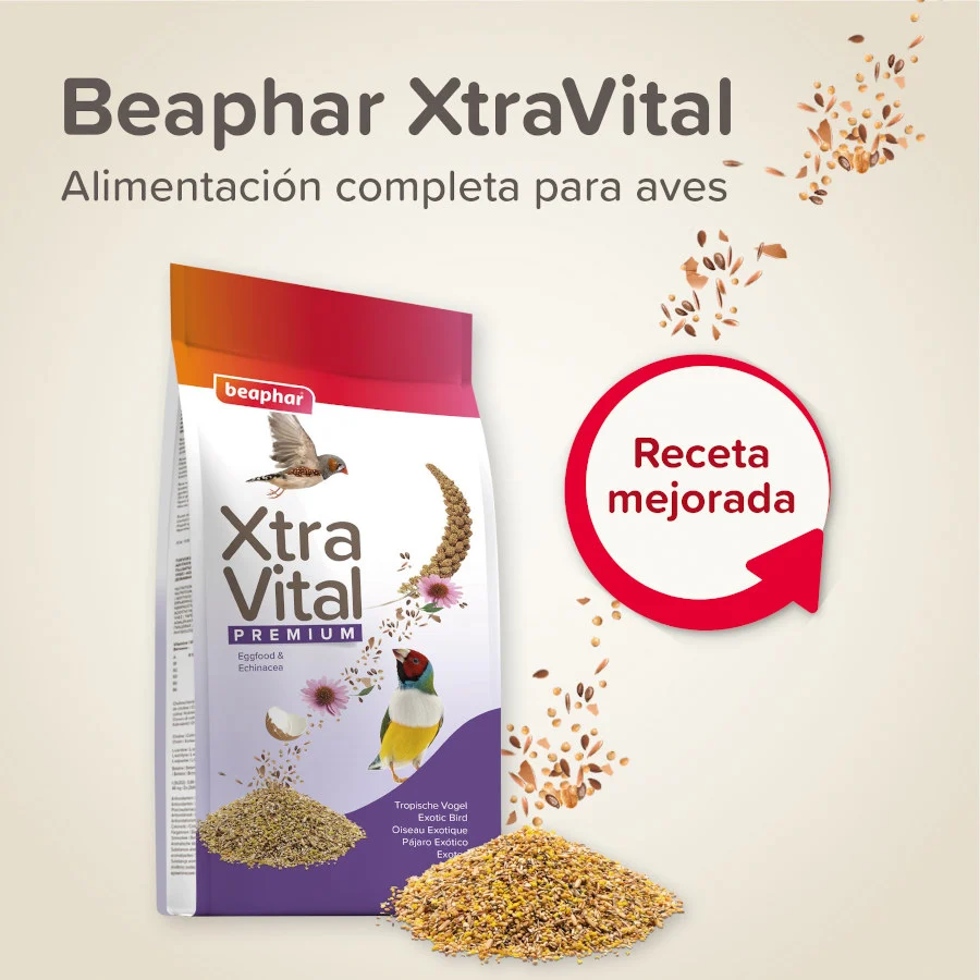 Beaphar XtraVital Premium Mixtura de Semillas para pájaros exóticos - Image 2