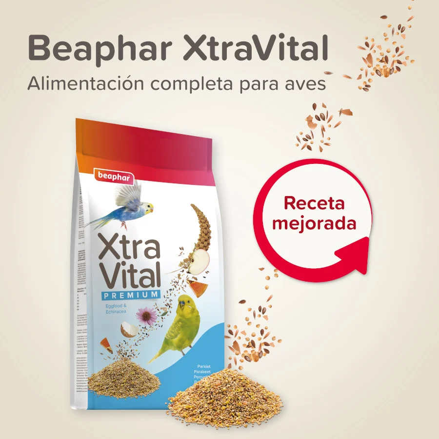Beaphar XtraVital Premium Mixtura de Semillas para periquitos - Image 2