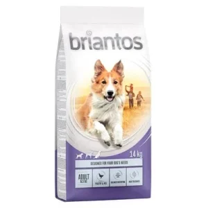 Briantos Adult Active Pollo y arroz 14 kg