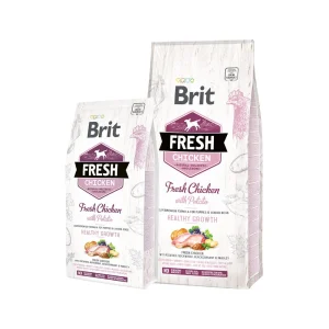Brit Fresh Chicken with Potato - Puppy