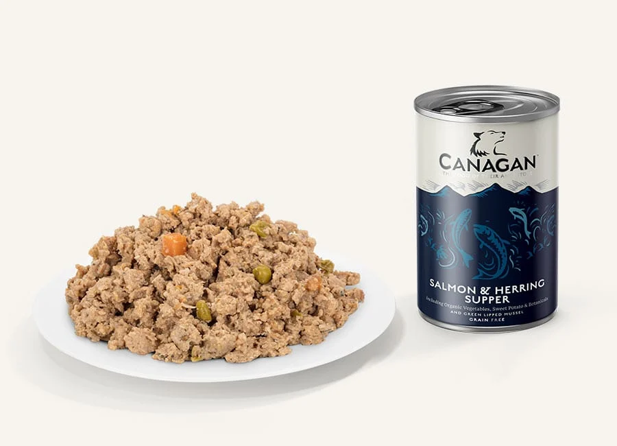 Canagan cena de salmón y arenque 400 g - Image 2