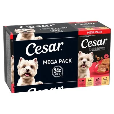 Cesar en tarrinas 24 x 150 g - Megapack Clásicos