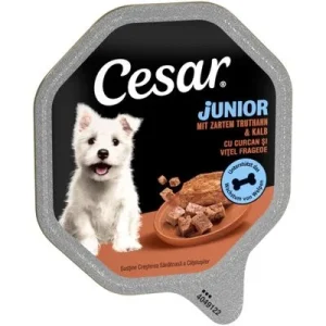 Cesar Junior en tarrinas 14 x 150 g con pavo y ternera