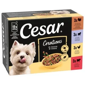Cesar Selección Carne y Verduras en Salsa 12 x 100 g